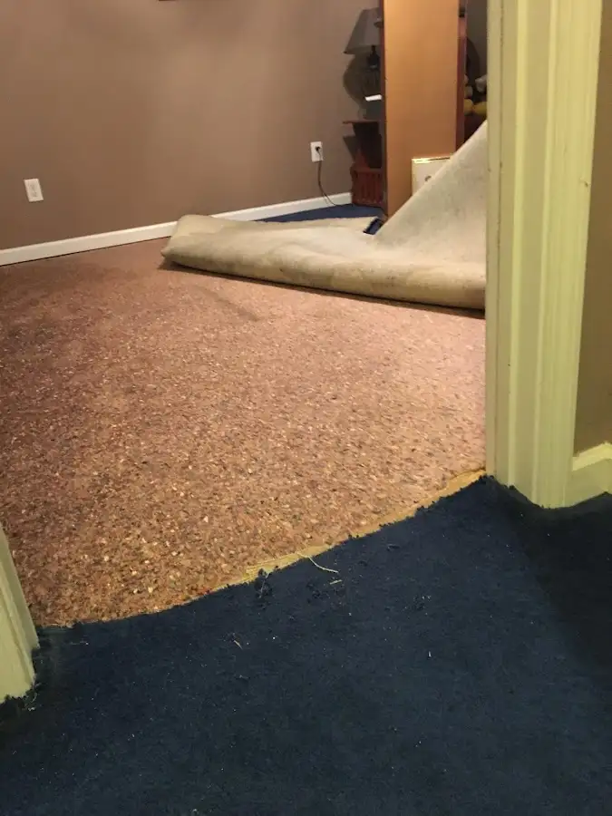 Carpet pad removal revealing water damage during Drying & Dehumidification in Malvern