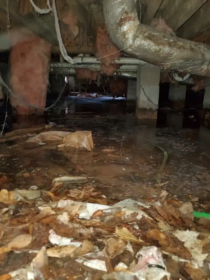 Crawl space flood assessment for Commercial Water Damage Restoration in Malvern