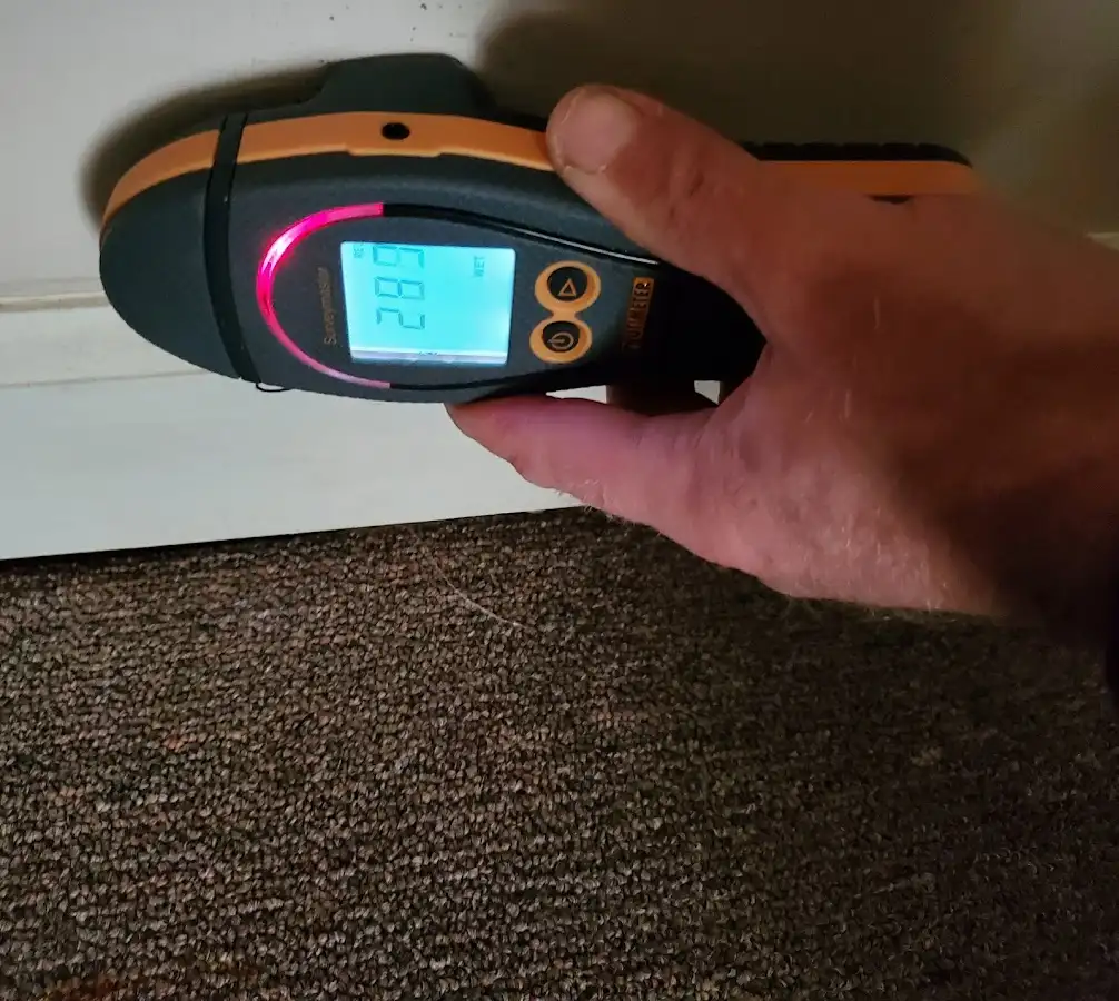 Moisture detection at baseboard during Sewage Cleanup & Sanitation in Malvern